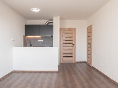Praha / Modřany, zrekonstruovaný byt 1+KK