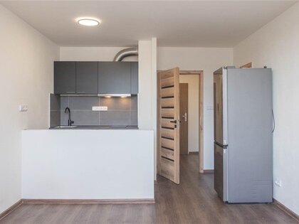 Praha / Modřany, zrekonstruovaný byt 1+KK